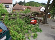 Kwikfynd Tree Cutting Services
yadboro